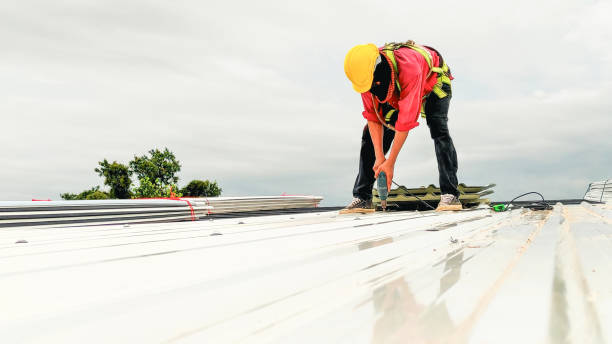 Best Roof Insulation Installation  in Rowlett, TX