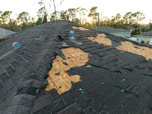Best Roof Insulation Installation  in Rowlett, TX