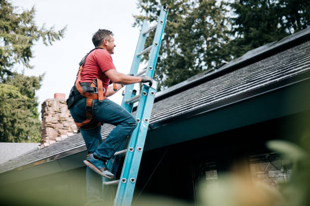 Best Asphalt Shingle Roofing  in Rowlett, TX